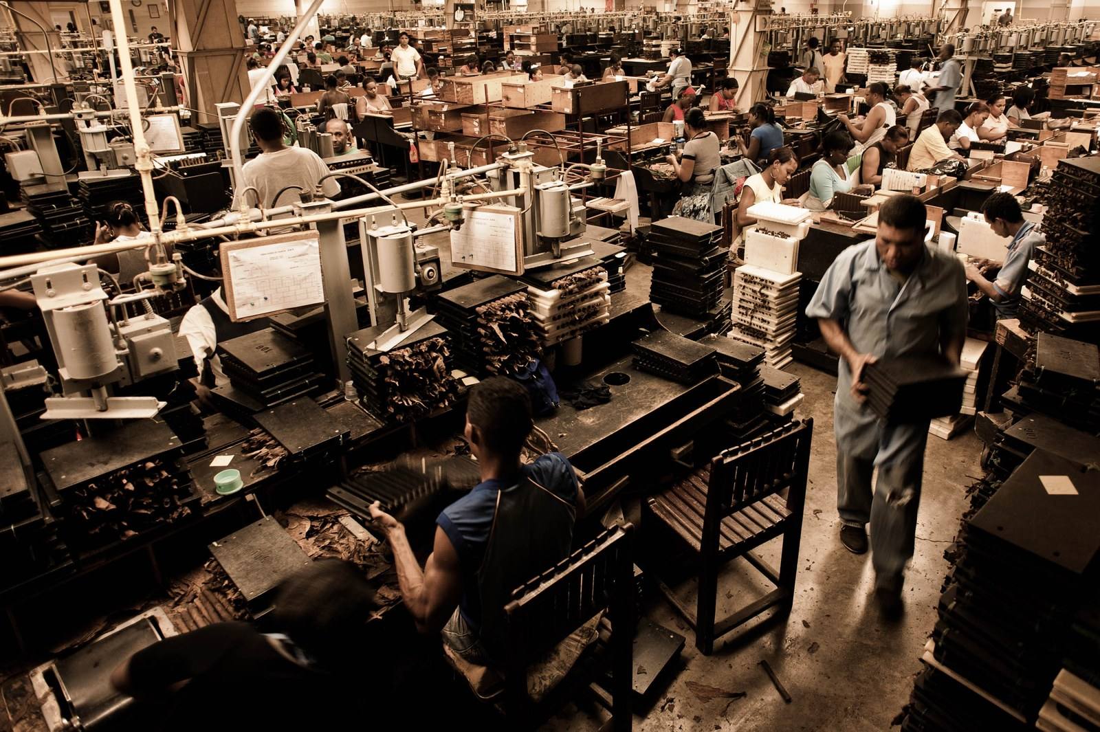 Cigar rollers at work on the shopfloor of a cigar factory in the Dominican Republic