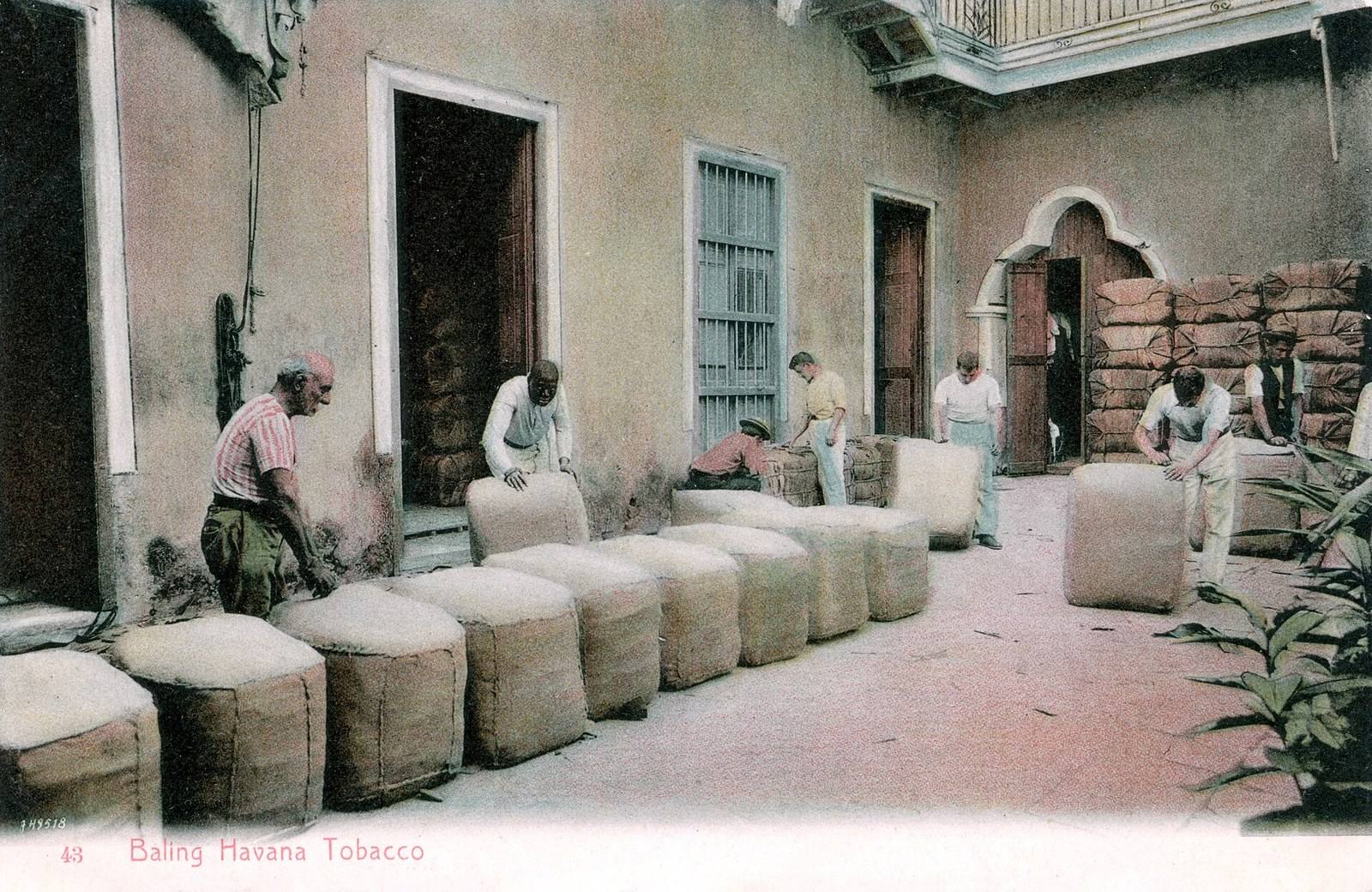 Workers handling bales of Havana tobacco in a courtyard
