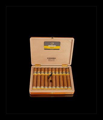 An open box of ten Cohiba Talisman cigars with yellow and black bands, in Habanos’ launch photography