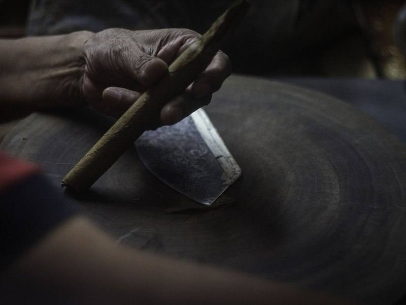 A torcedor's hand holding a freshly rolled, unlit cigar