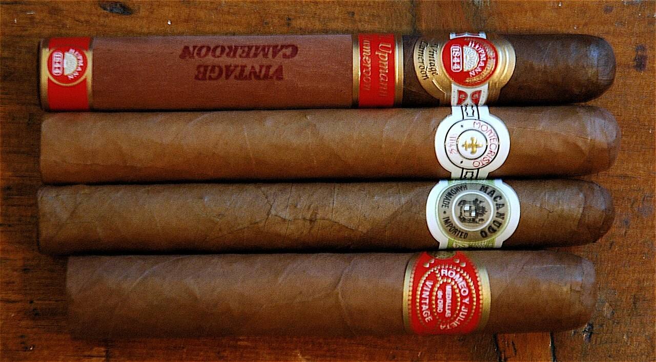 A dark maduro cigar with a cut cap. Representative photograph.