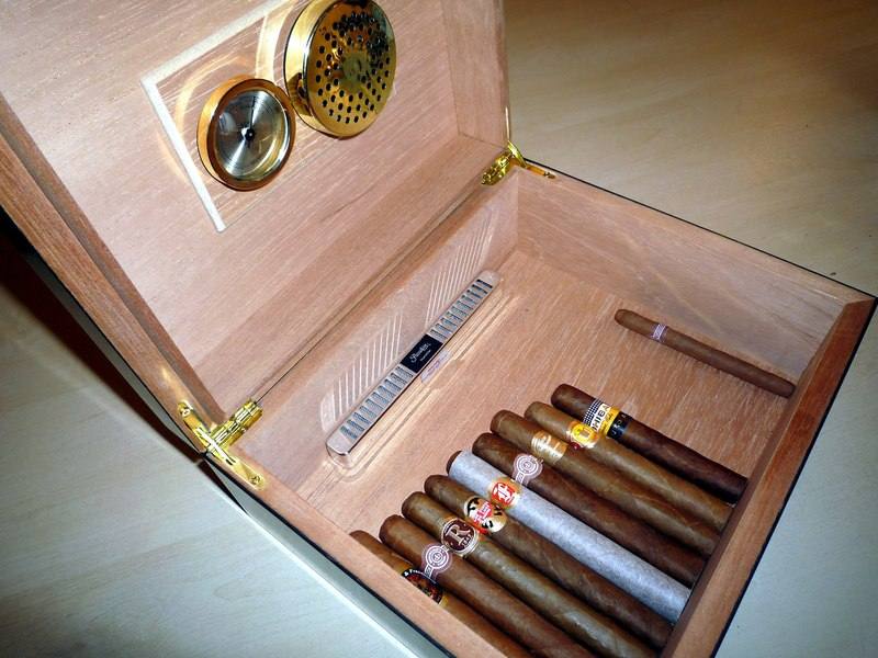 Cigars resting in rows inside an open Spanish cedar humidor