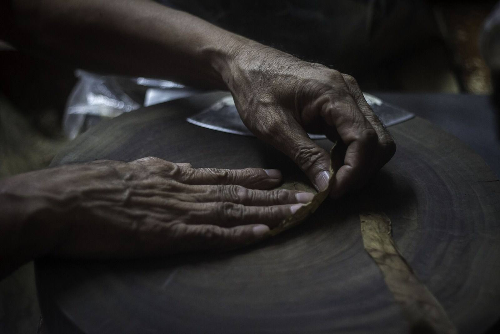 A torcedor's hands smoothing wrapper leaf on the rolling table